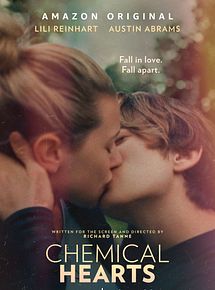 Affiche de Les Désaccords du cœur, film à voir en streaming sur Pygargue