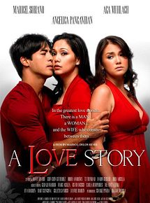 Affiche de A Love Story, film à voir en streaming sur Pygargue