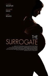 Affiche de Mère porteuse pour star dangereuse, film à voir en streaming sur Pygargue
