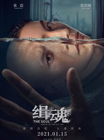Affiche de The Soul, film à voir en streaming sur Pygargue