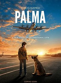Affiche de Palma, film à voir en streaming sur Pygargue