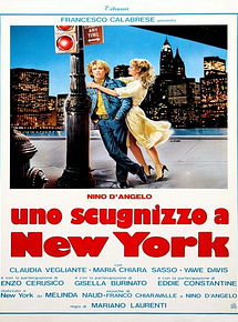 Affiche de Un Napolitain à New York, film à voir en streaming sur Pygargue