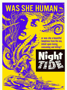 Affiche de Marée nocturne, film à voir en streaming sur Pygargue