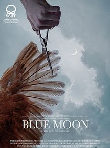Affiche de Blue Moon, film à voir en streaming sur Pygargue