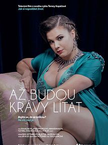 Affiche de Burlesque, film à voir en streaming sur Pygargue