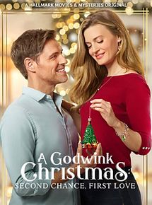 Affiche de Un fabuleux coup de foudre pour Noël, film à voir en streaming sur Pygargue