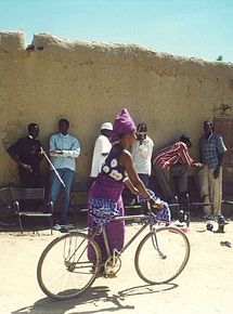 Affiche de La Vie sur terre, film à voir en streaming sur Pygargue