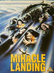 Affiche de Panique en plein ciel, film à voir en streaming sur Pygargue
