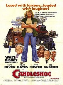 Affiche de La Course au Trésor, film à voir en streaming sur Pygargue