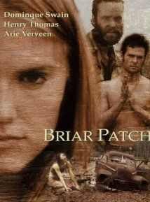 Affiche de Briar patch, film à voir en streaming sur Pygargue