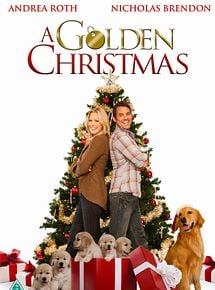 Affiche de Des souvenirs pour Noël, film à voir en streaming sur Pygargue