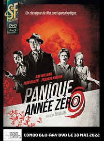 Affiche de Panique annee zero, film à voir en streaming sur Pygargue