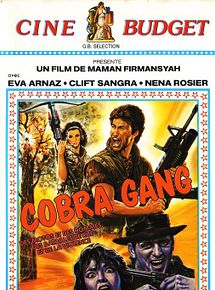 Affiche de Violent killer, film à voir en streaming sur Pygargue