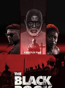 Affiche de The Black Book, film à voir en streaming sur Pygargue
