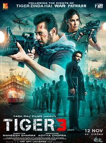 Affiche de Tiger 3, film à voir en streaming sur Pygargue