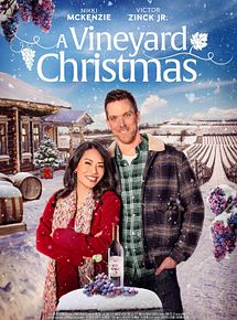 Affiche de Le vignoble de Noël, film à voir en streaming sur Pygargue