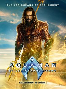 Affiche de Aquaman et le Royaume perdu, film à voir en streaming sur Pygargue