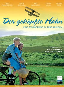 Affiche de Le Coq décapité, film à voir en streaming sur Pygargue