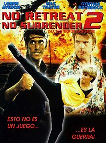 Affiche de Karaté Tiger 2, film à voir en streaming sur Pygargue