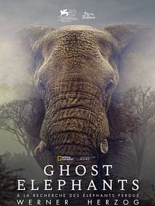 image de Ghost Elephants Bande-annonce VO STFR