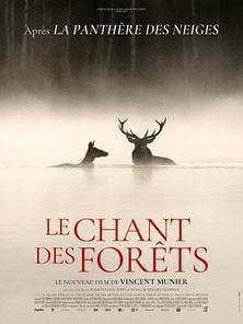image de Le Chant des forêts Bande-annonce VF