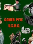 poster de la série Gomer Pyle, U.S.M.C. Saison 5