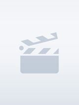 poster de la série The Commissar’s Report Saison 1