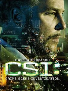 poster de la série Les Experts Saison 8