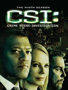 poster de la série Les Experts Saison 9