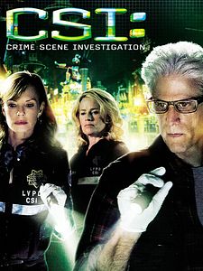 poster de la série Les Experts Saison 12