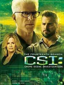 poster de la série Les Experts Saison 14