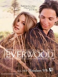 poster de la série Everwood Saison 2