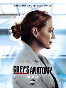 poster de la série Grey's Anatomy Saison 23