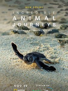 poster de la série Incredible Animal Journeys Saison 1