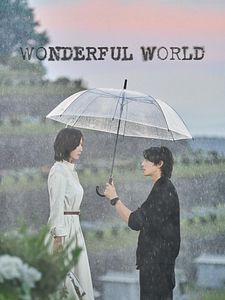 poster de la série Wonderful World Saison 1