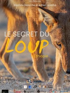 Le Secret du Loup d'Éthiopie