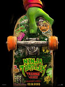 Ninja Turtles Teenage Years