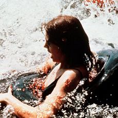 Photo 2 pour Piranhas