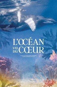 L'Océan vu du cœur