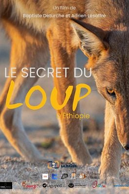 Le Secret du Loup d'Éthiopie