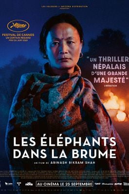 Les Elephants dans la brume