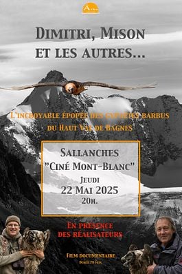 Dimitri, Mison et les autres...