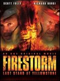 poster de La Forêt en feu