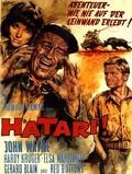 Hatari!