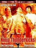 Ninjas Thunderkicks