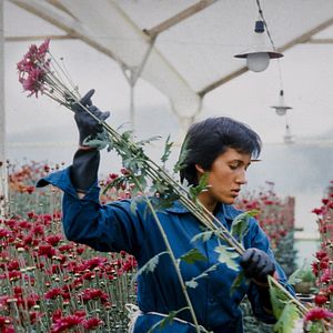 Photo Amour, femmes et fleurs
