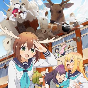 Photo My Deer Friend Nokotan