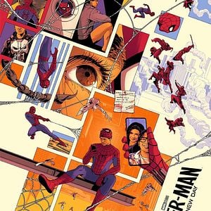 Photo Spider-Man: Brand New Day