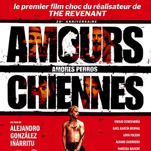 Photo Amours chiennes