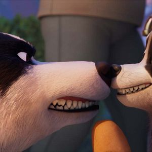 Photo Falcon Express